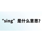 你真sing网络用语是什么意思