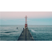 抖音视频怎么去掉抖音的水印(抖音视频去水印方法介绍)