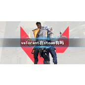 《valorant》游玩平台说明