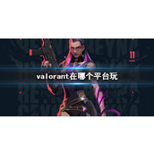 《valorant》游玩平台介绍