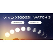 vivoX100电池多少毫安