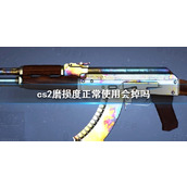 《cs2》磨损度正常使用说明