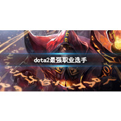 《dota2》最强职业选手介绍