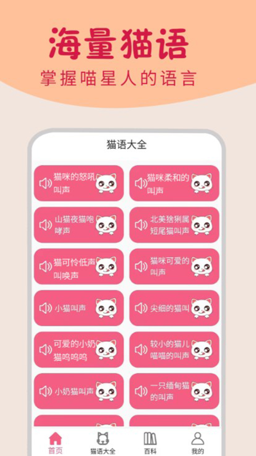 小猫翻译器