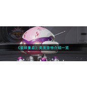 《星球重启》宠物美美技能一览