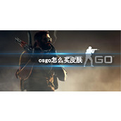 《csgo》皮肤购买方法