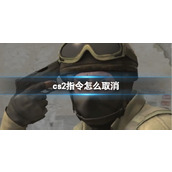 汉字找茬王新生装行李通关方法是什么