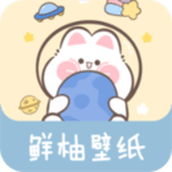 鲜柚壁纸最新版
