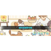 《遇见你的猫》提升亲密度策略