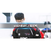 《lol》scout在skt上场介绍