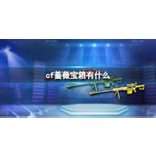 《cf》2023蔷薇宝箱奖励介绍