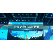 《云顶之弈》flancy介绍