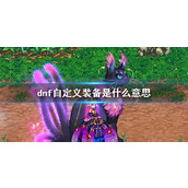 《dnf》自定义装备介绍