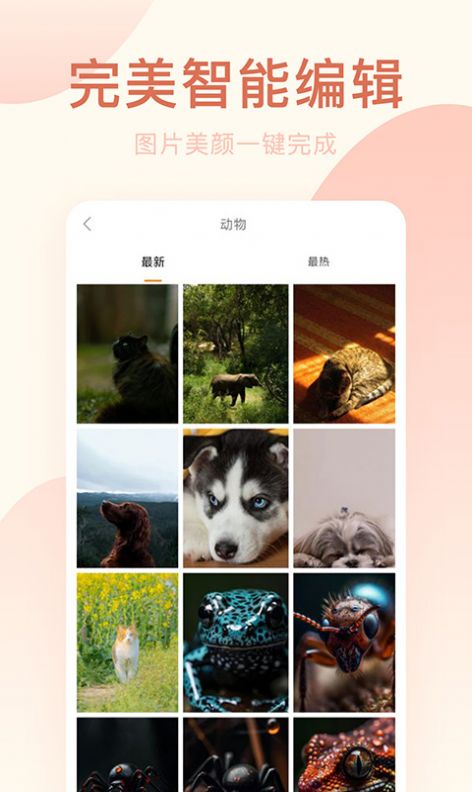 激甜相机安装包