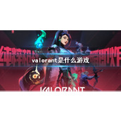 《valorant》游戏类型介绍