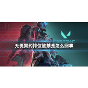 《无畏契约》2023禁止排位说明