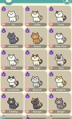 神秘猫咪字典游戏下载