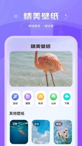 好看图库天天屏保壁纸app