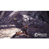 《怪物猎人》20周年纪念活动“怪物总选举”正式开启