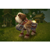 vivox90支持微云台吗