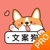 文案伴侣app最新版