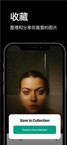 pexels视频素材app软件
