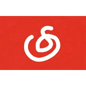 网易云音乐村龄怎么隐藏