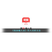 《微脉输入法》导入词库方法