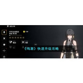 《鸣潮》快速升级攻略
