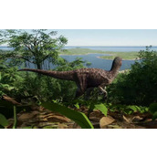 恐龙岛怎么攻击