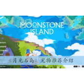月光石岛宠物推荐详情