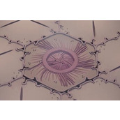 茧第三章攻略一览