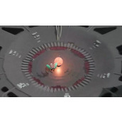 茧第一章攻略一览