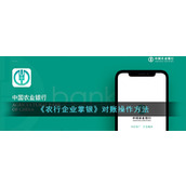 《农行企业掌银》对账操作方法