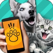 pet translator中文版
