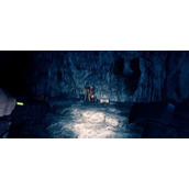 森林之子十字架作用一览