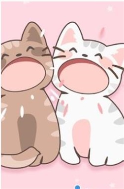 DuetCats安装包