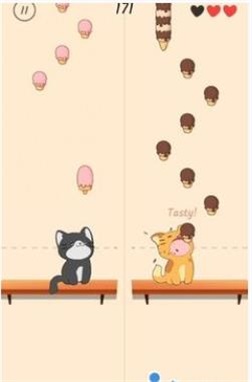 DuetCats安装包