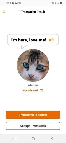 喵说meowtalk2024最新版