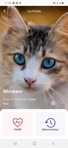 喵说meowtalk2024最新版