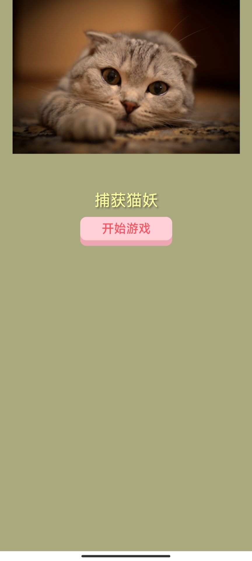 捕获猫妖版