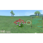 创造与魔法花椒在哪