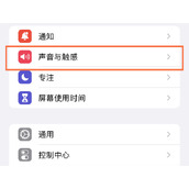 苹果14promax怎么设置来电铃声？