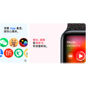 Apple Watch SE2能连安卓吗？