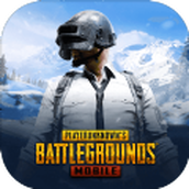 pubgmobile绝地求生m(正式服)