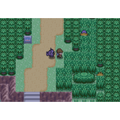 口袋妖怪火红气势头带在哪