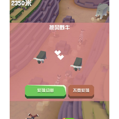 疯狂动物园苏格兰圆扁帽是什么