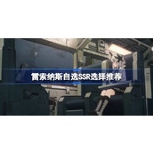 雷索纳斯自选SSR选择推荐 雷索纳斯自选SSR怎么选择