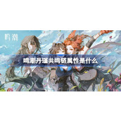 鸣潮丹瑾‌共鸣链属性是什么 鸣潮丹瑾‌共鸣链属性