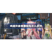 鸣潮异象寒霜陆龟怎么获得 鸣潮异象寒霜陆龟获取